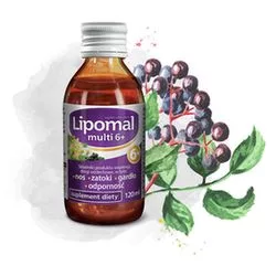 Lipomal Multi 6+ syrop 120ml