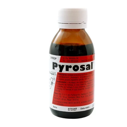 Pyrosal Syrop 125g