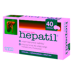 Hepatil tabletki 40 sztuk