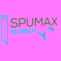 Spumax 125mg kapsułki 30 sztuk